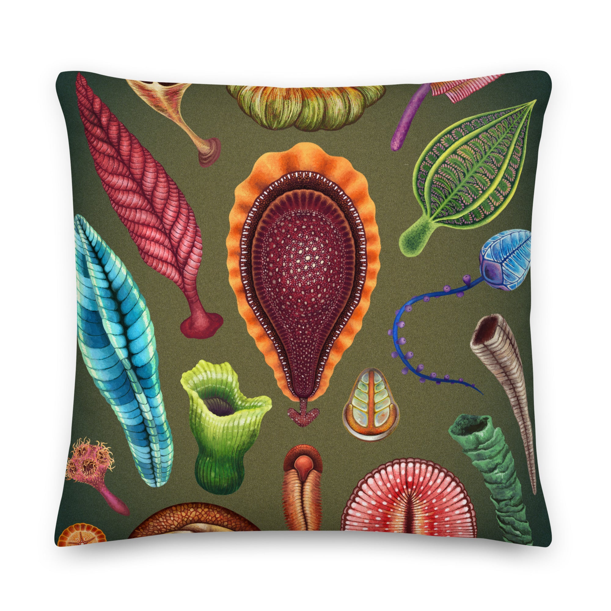 Ediacaran biota pillow