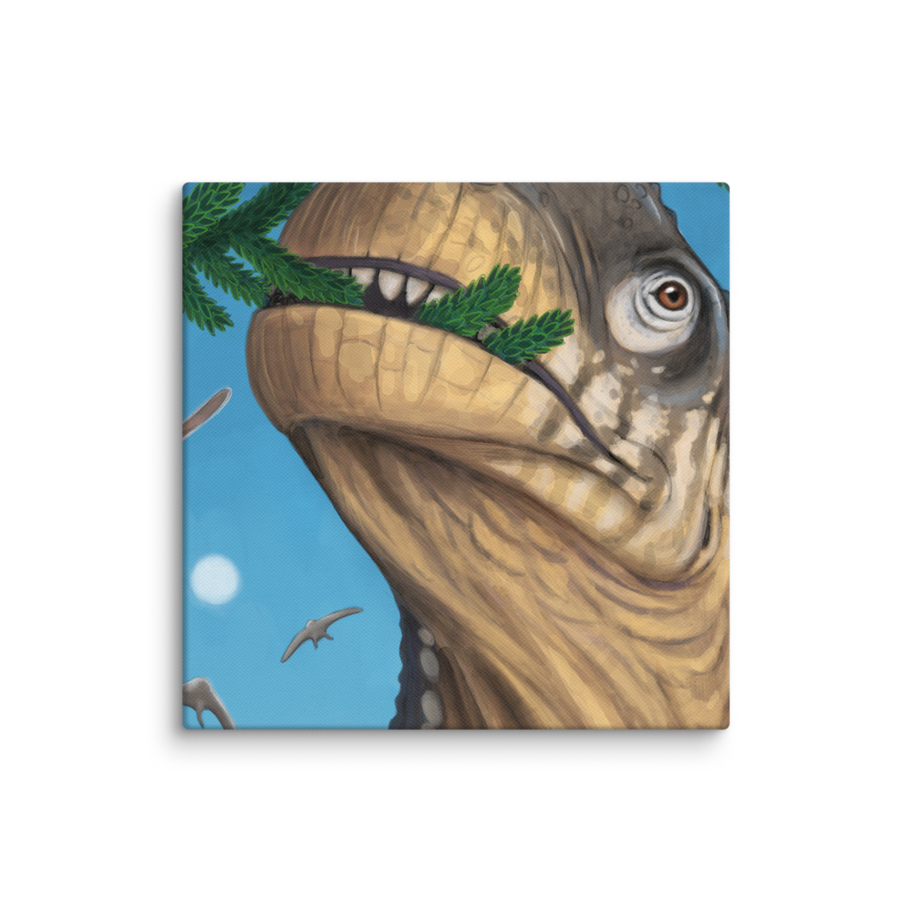 Camarasaurus Close-up — Canvas 12×12
