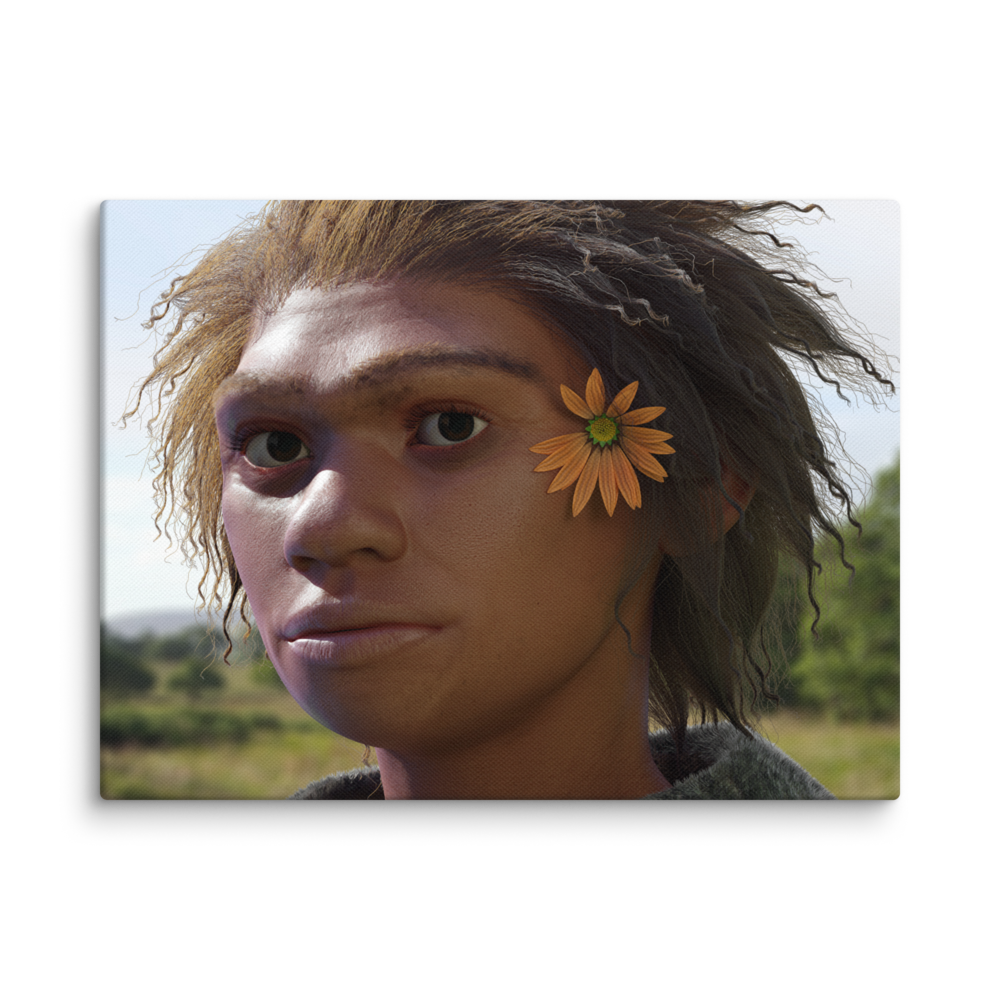 Denisovan canvas