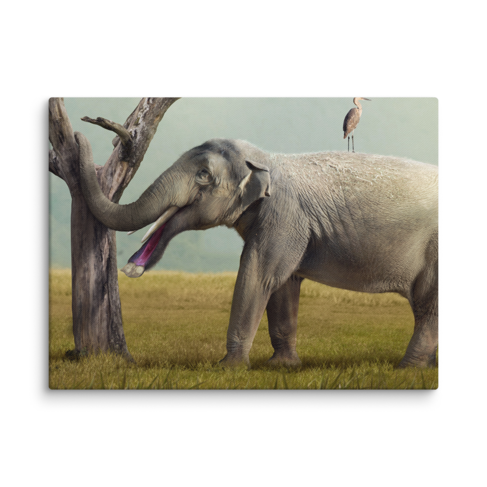 Platybelodon grangeri — Canvas 12×16