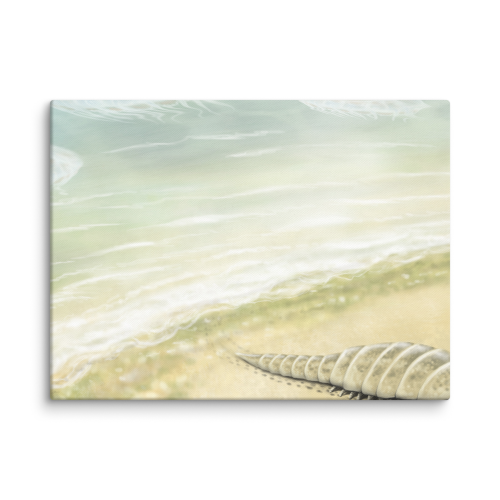 Euthycarcinoid, early land arthropod — Canvas 12×16