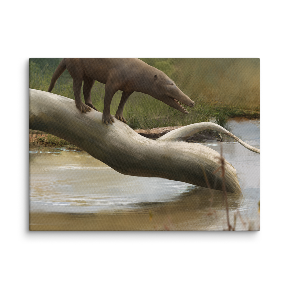 Pakicetus sp. canvas