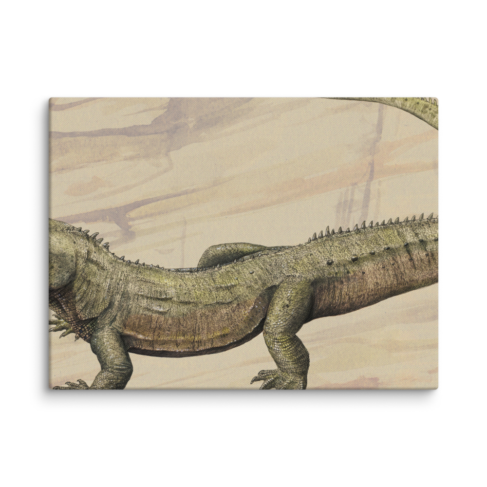 Oenosaurus muehlheimensis canvas