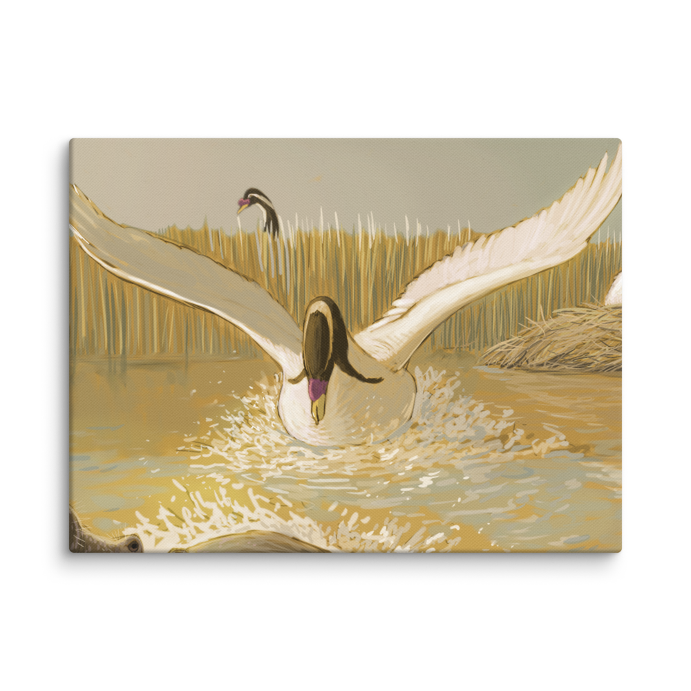 Cygnus falconeri canvas