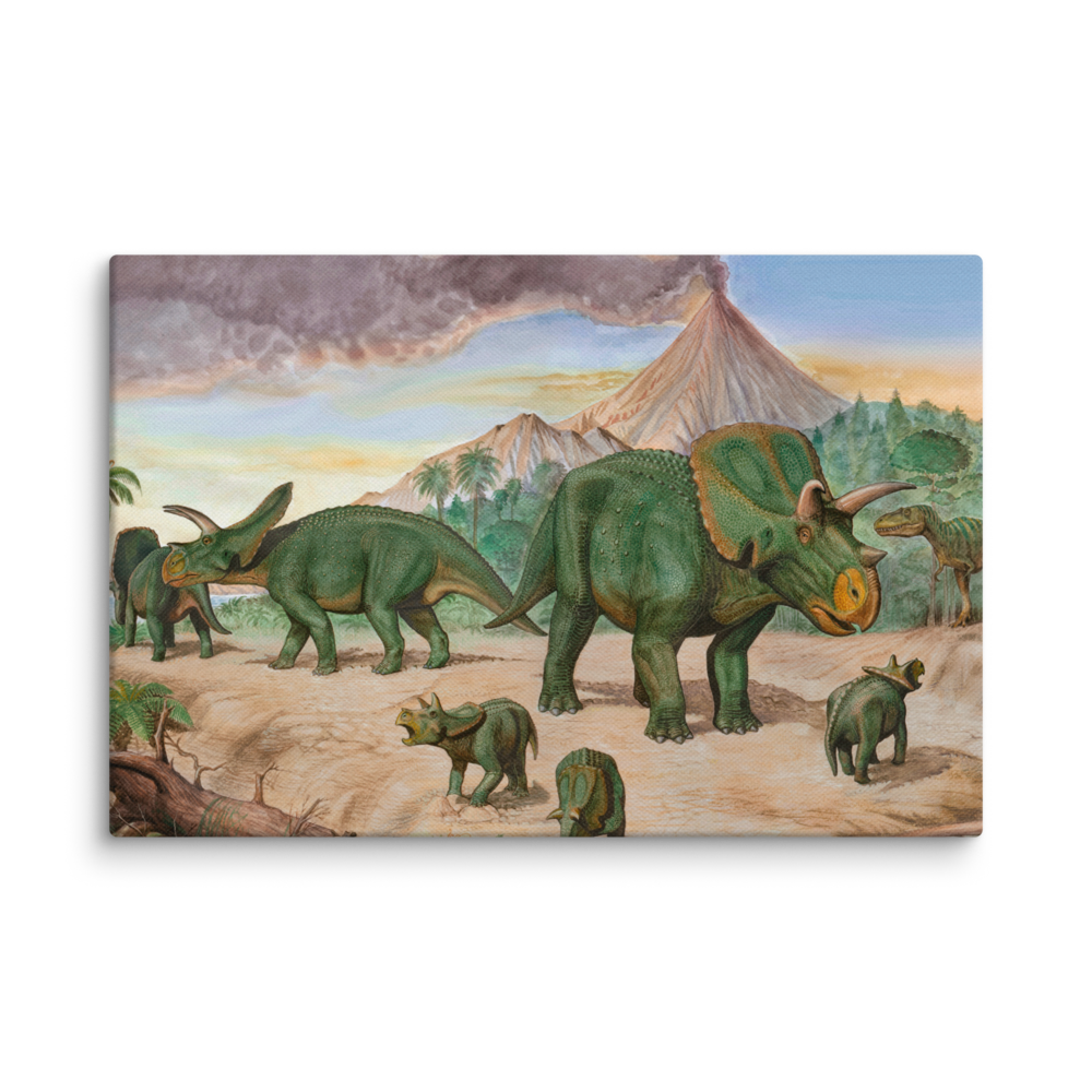 Arrhinoceratops And Albertosaurus — Canvas 12×18