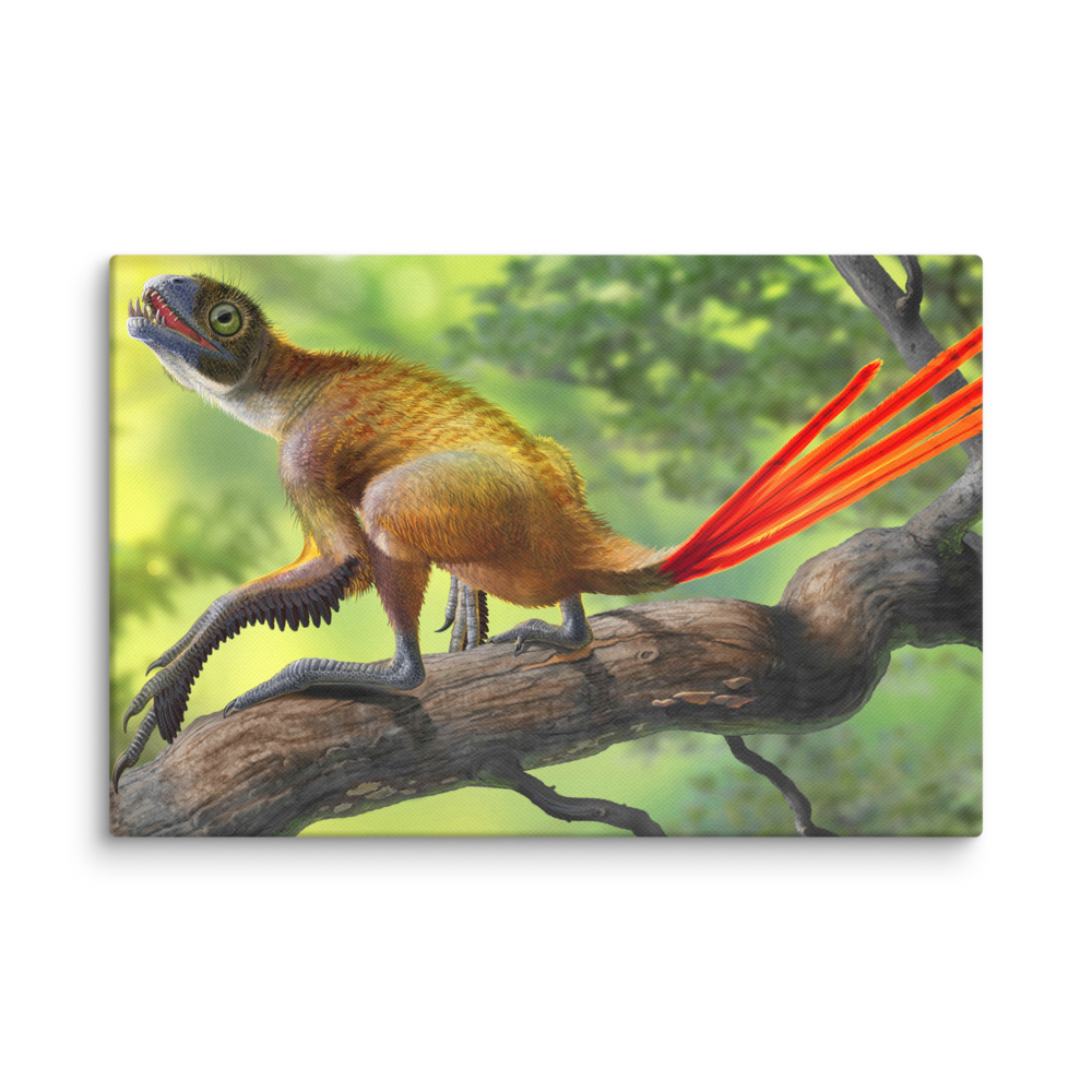 Epidexipteryx hui and Mongolarachne — Canvas 12×18
