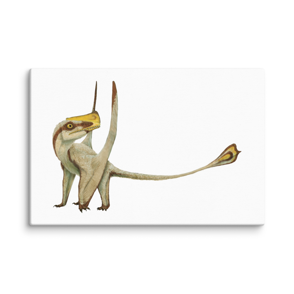 Austriadactylus cristatus — Canvas 12×18