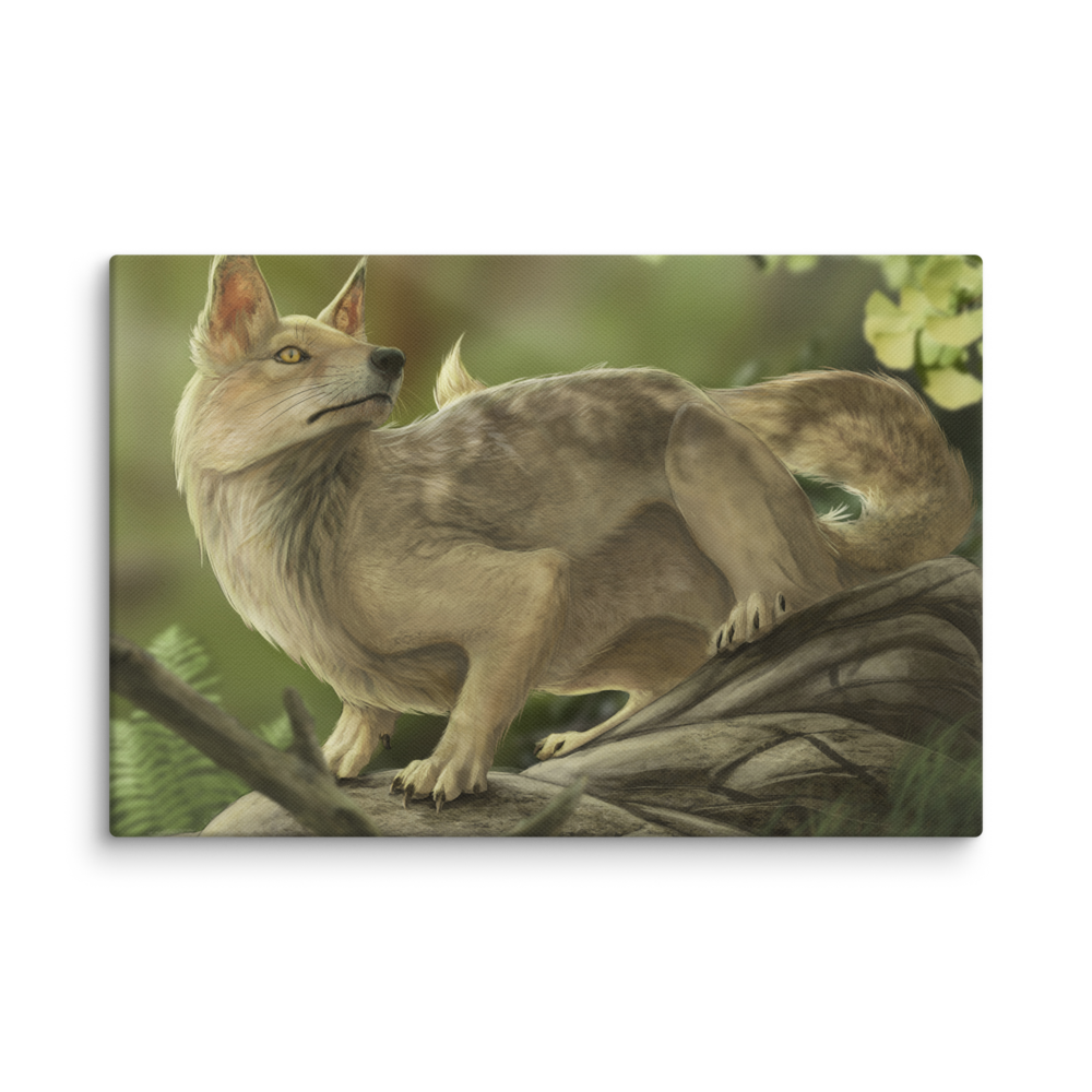 Hesperocyon sp. — Canvas 12×18