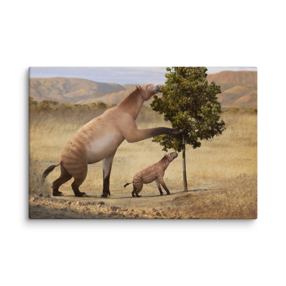 Chalicotherium sp. — Canvas 12×18
