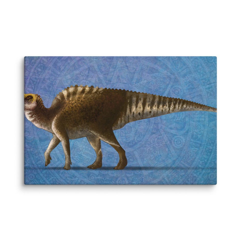 Latirhinus uitstlani canvas