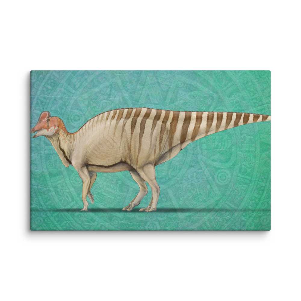 Velafrons coahuilensis — Canvas 12×18