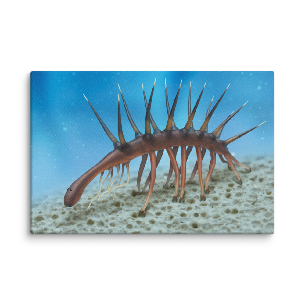 Hallucigenia sparsa canvas