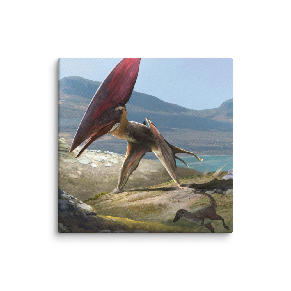 Thalassodromeus Chase — Canvas 14×14