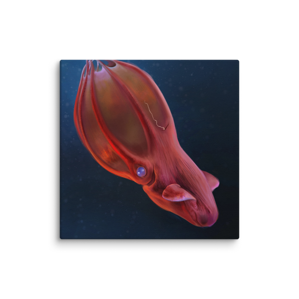 Vampyroteuthis infernalis — Canvas 16×16