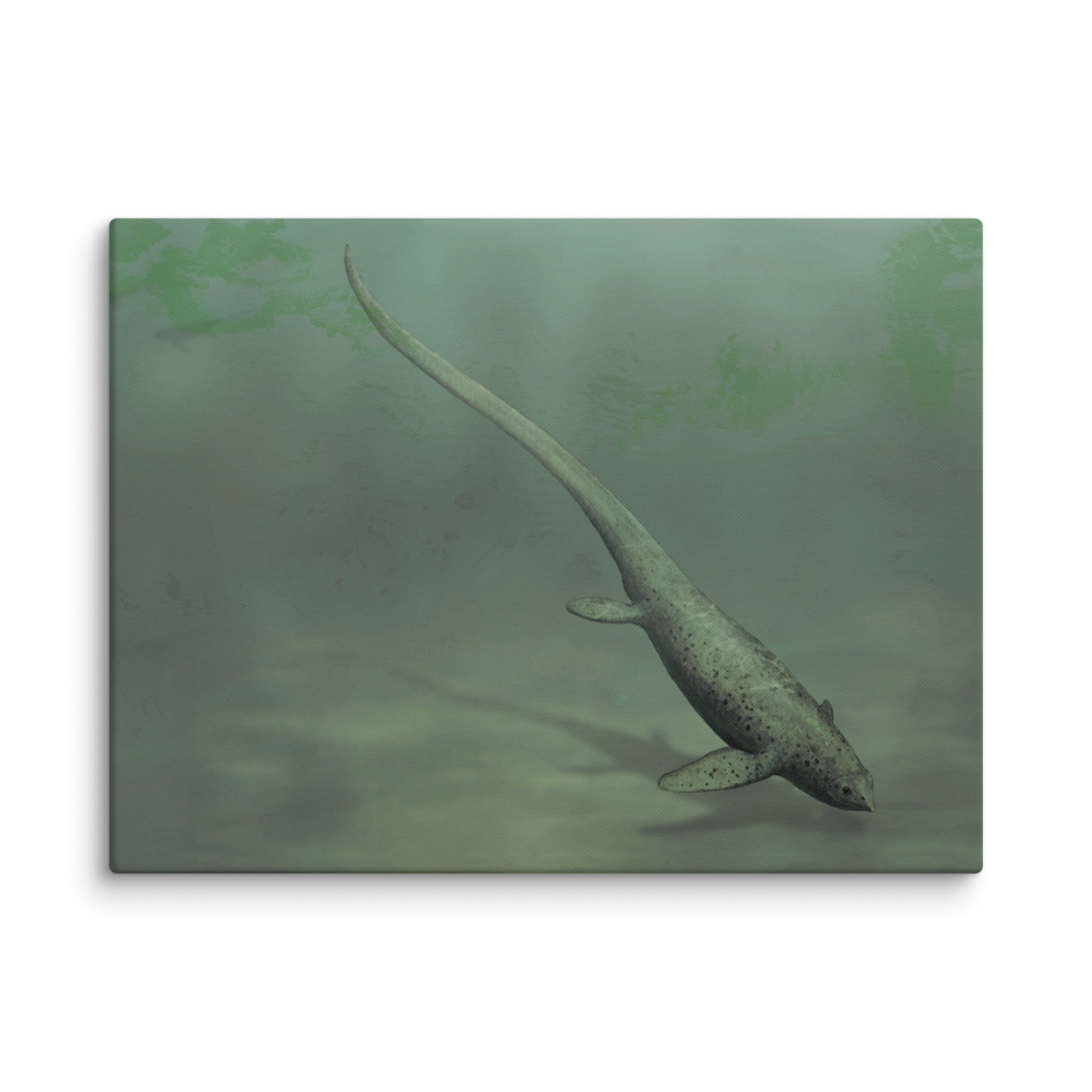 Sclerocormus parviceps — Canvas 18×24