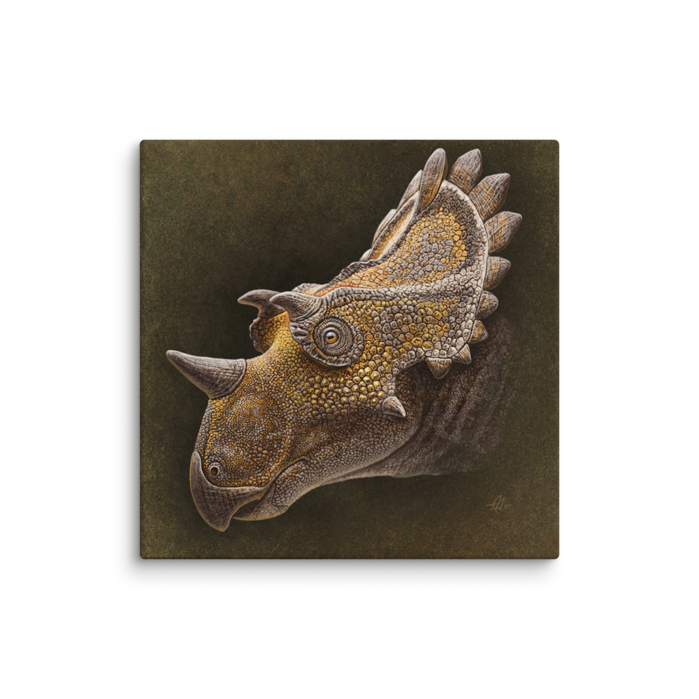 Regaliceratops — Canvas 20×20