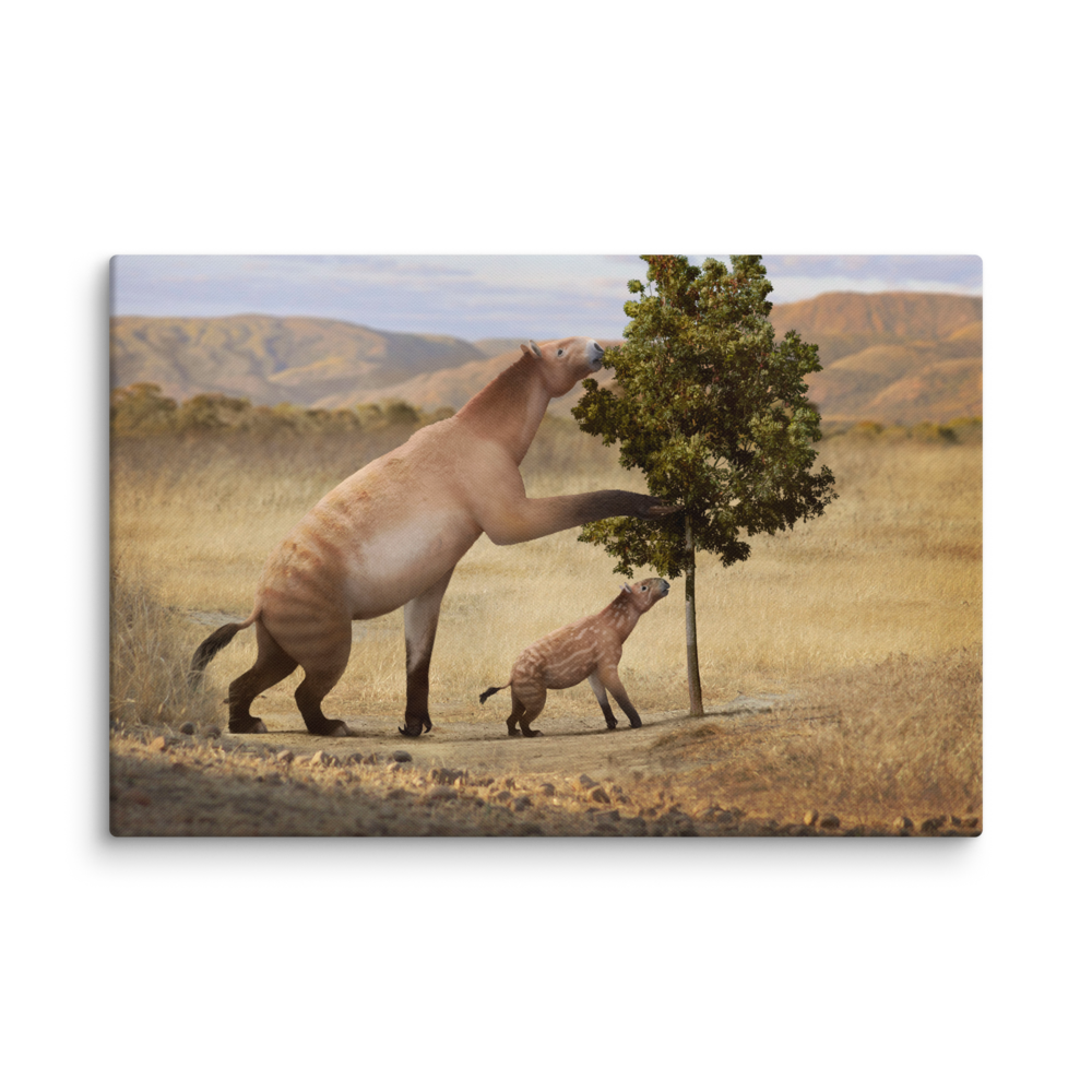 Chalicotherium sp. — Canvas 20×30