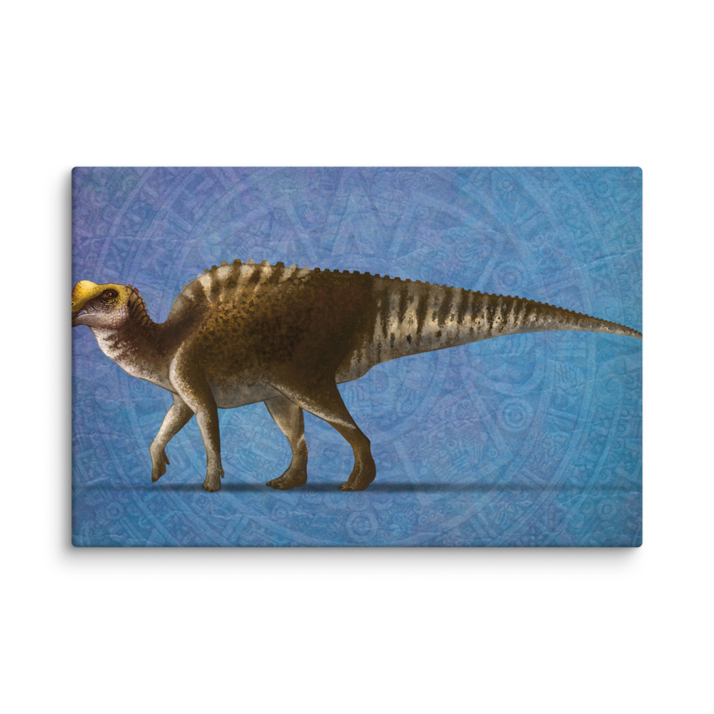 Latirhinus uitstlani — Canvas 20×30