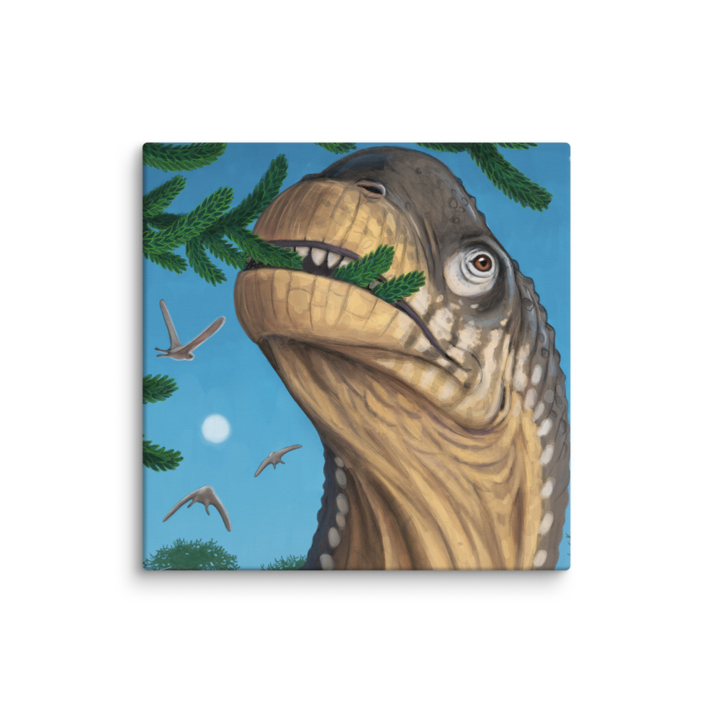Camarasaurus Close-up — Canvas 24×24