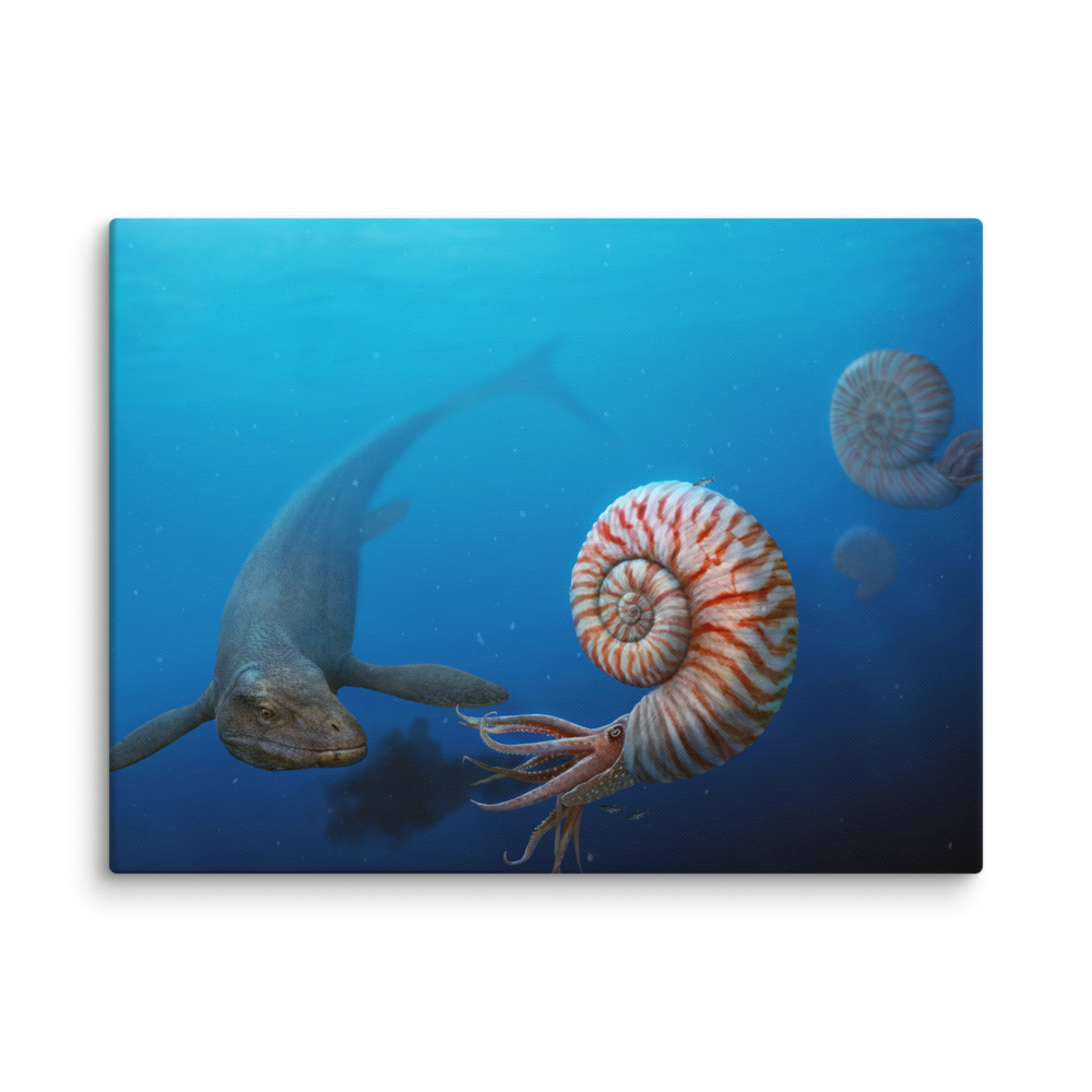Parapuzosia vs Mosasaurus — Canvas 24×32