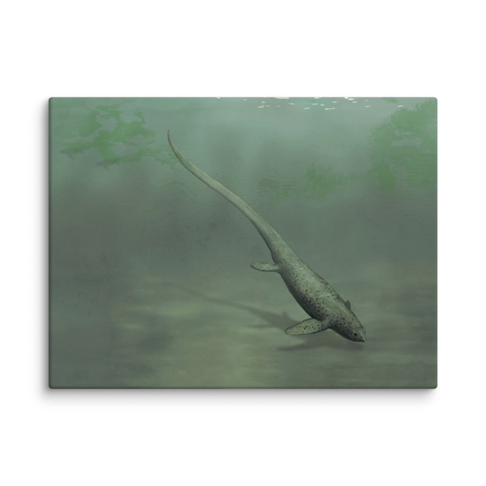 Sclerocormus parviceps — Canvas 24×32