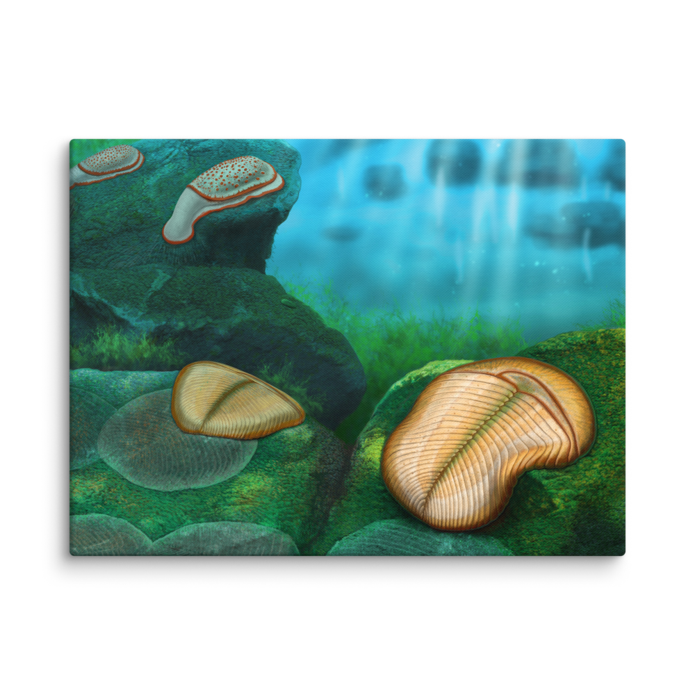 Yorgia and Kimberella — Canvas 24×32