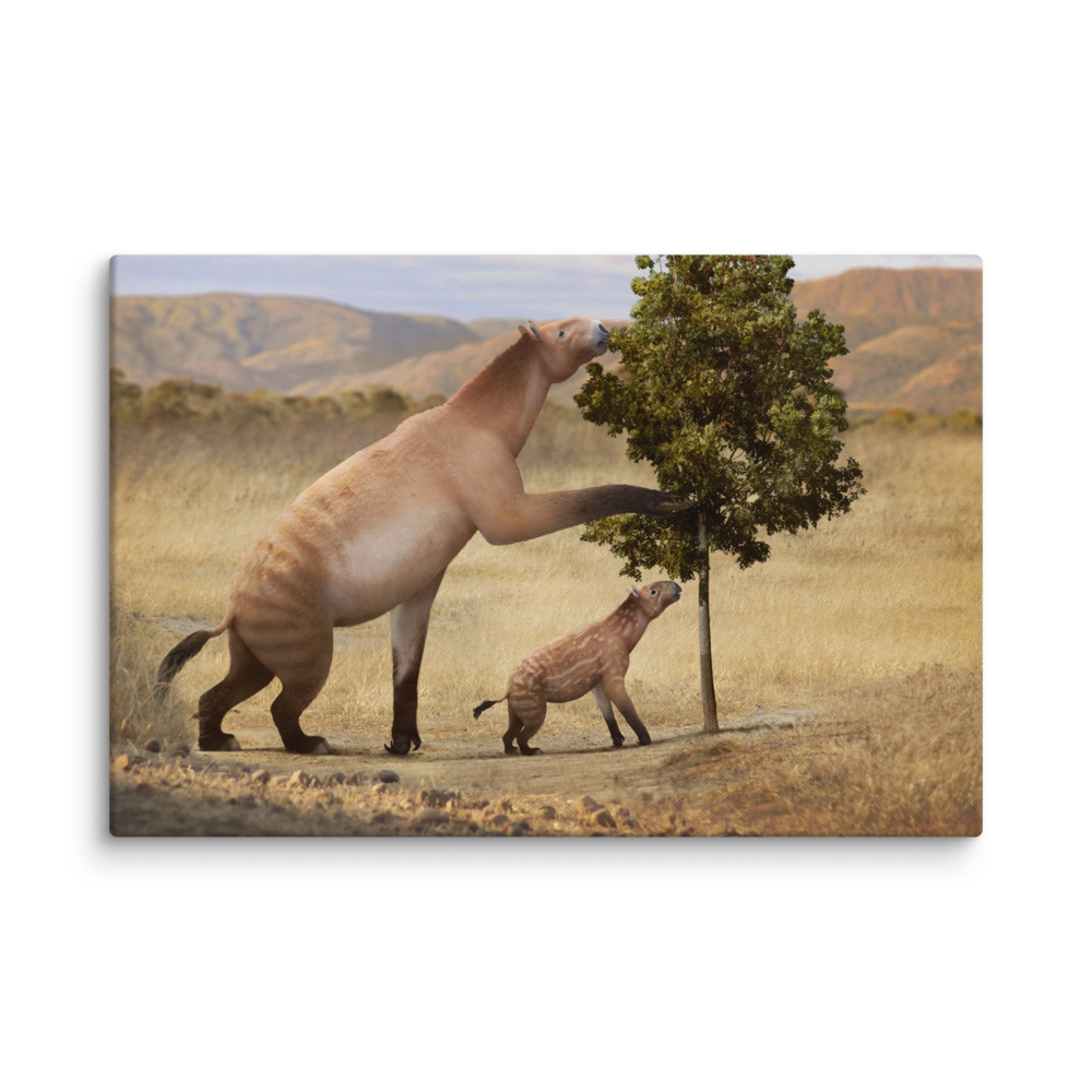 Chalicotherium sp. — Canvas 24×36