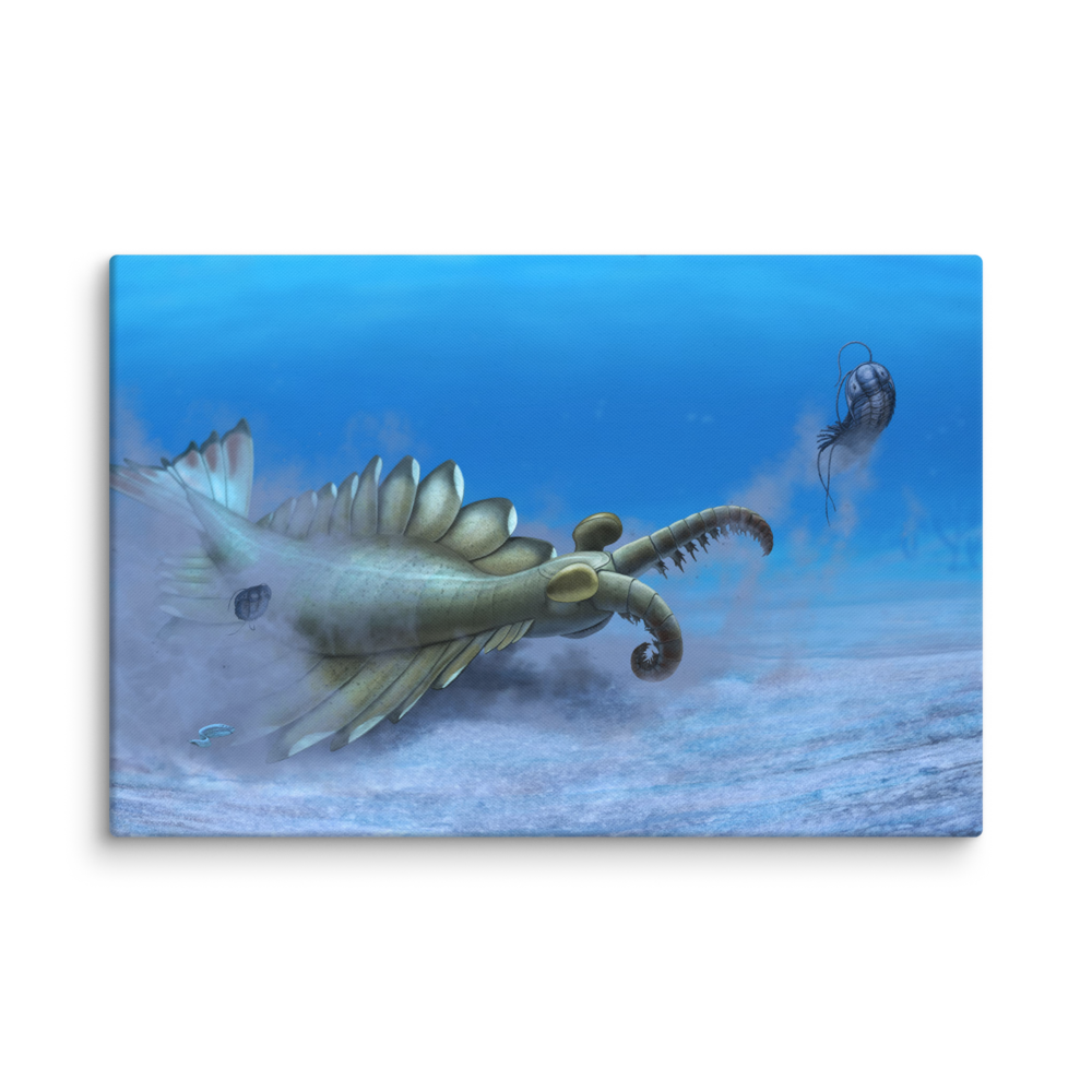 Anomalocaris sp. — Canvas 24×36