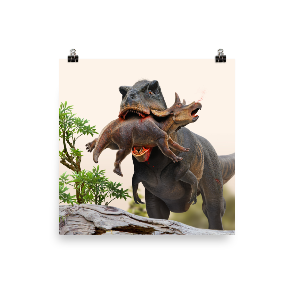 Tyrannosaurus hunting a juvenile Triceratops — Poster 12×12