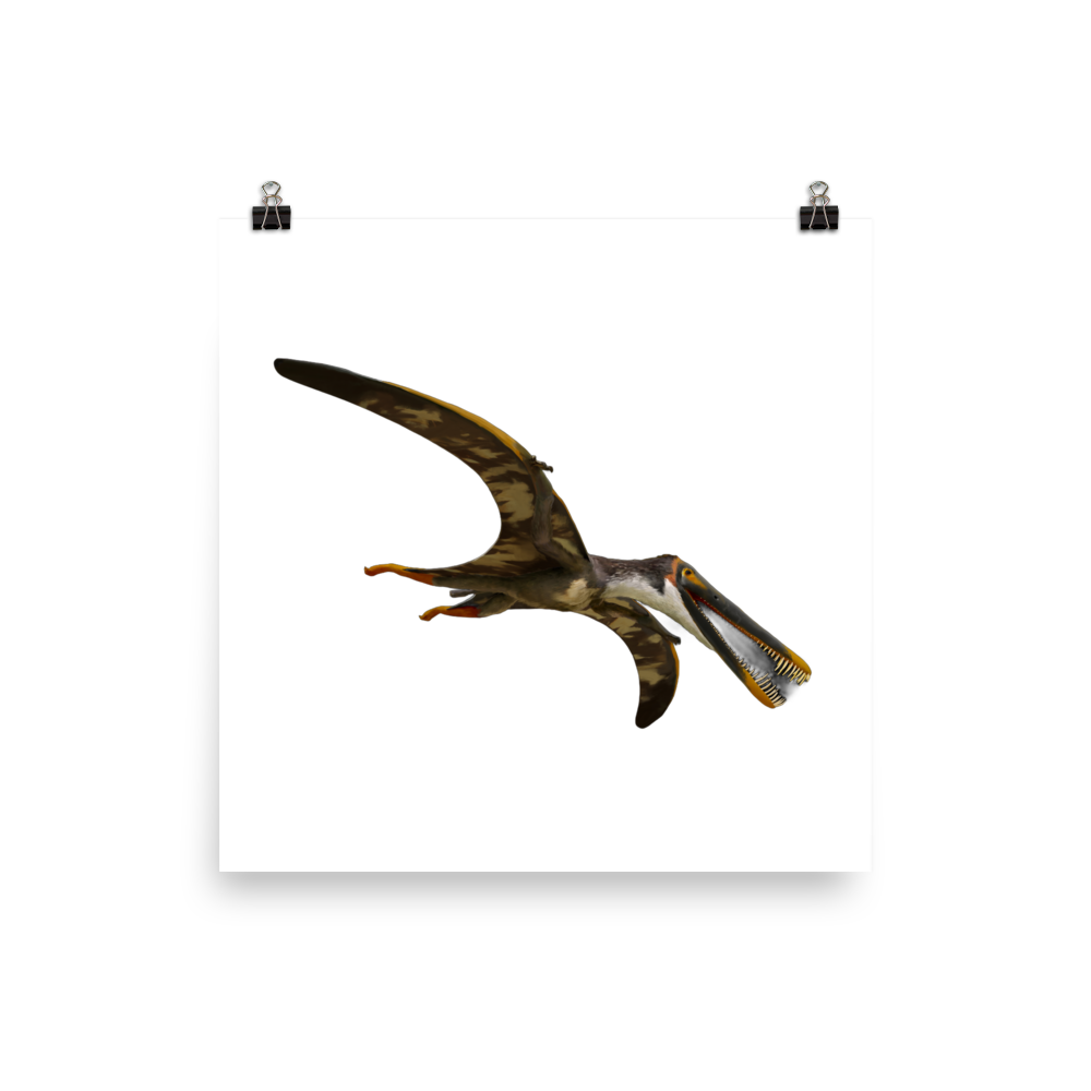 Boreopterus giganticus poster