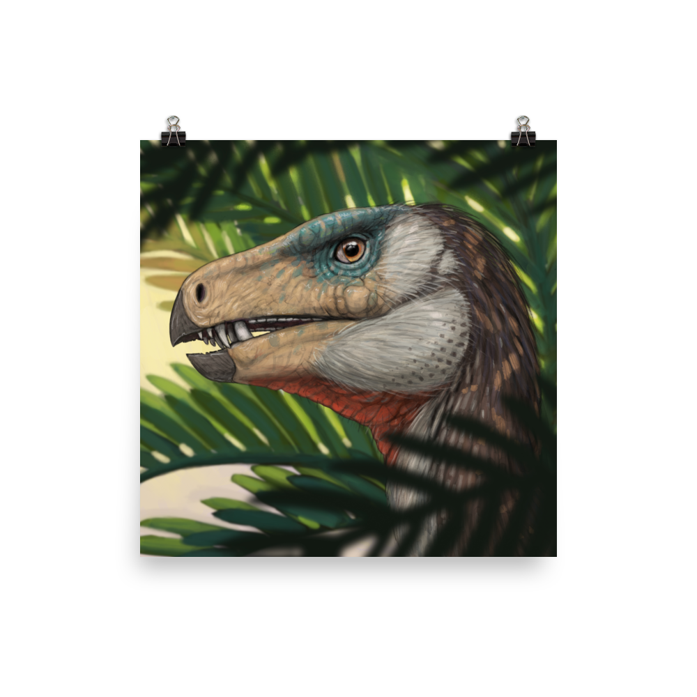 Heterodontosaurus poster