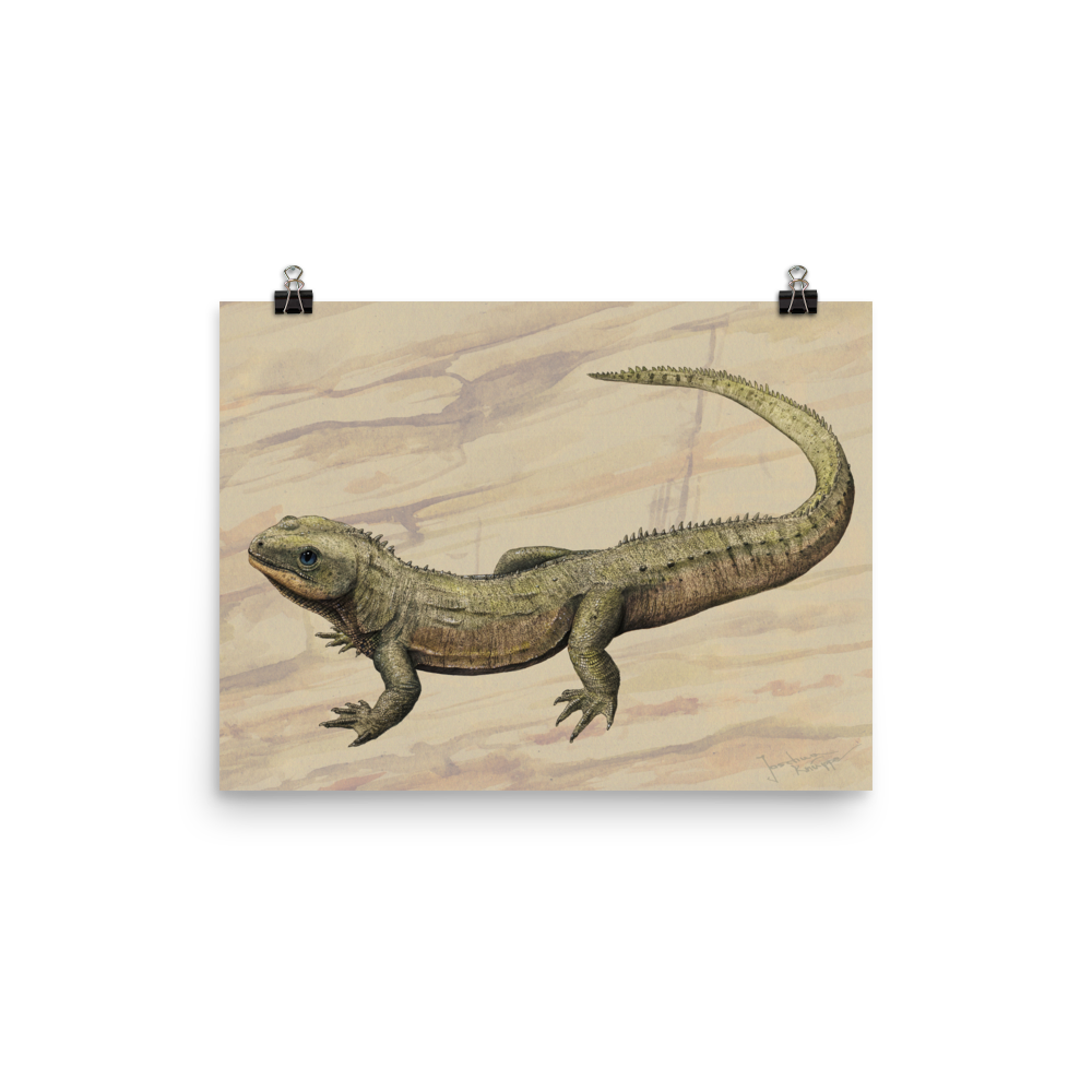 Oenosaurus muehlheimensis poster