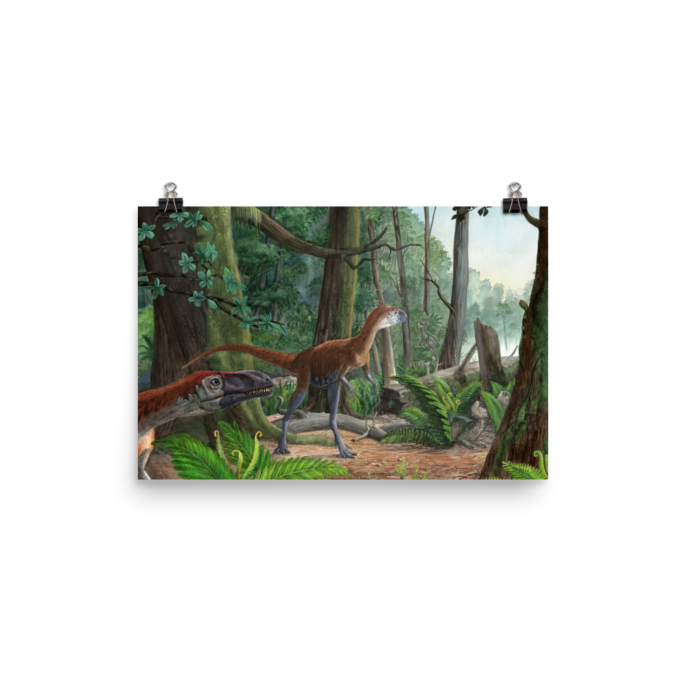 Dilong - Morning in the Chinese Forest — Poster 12×18
