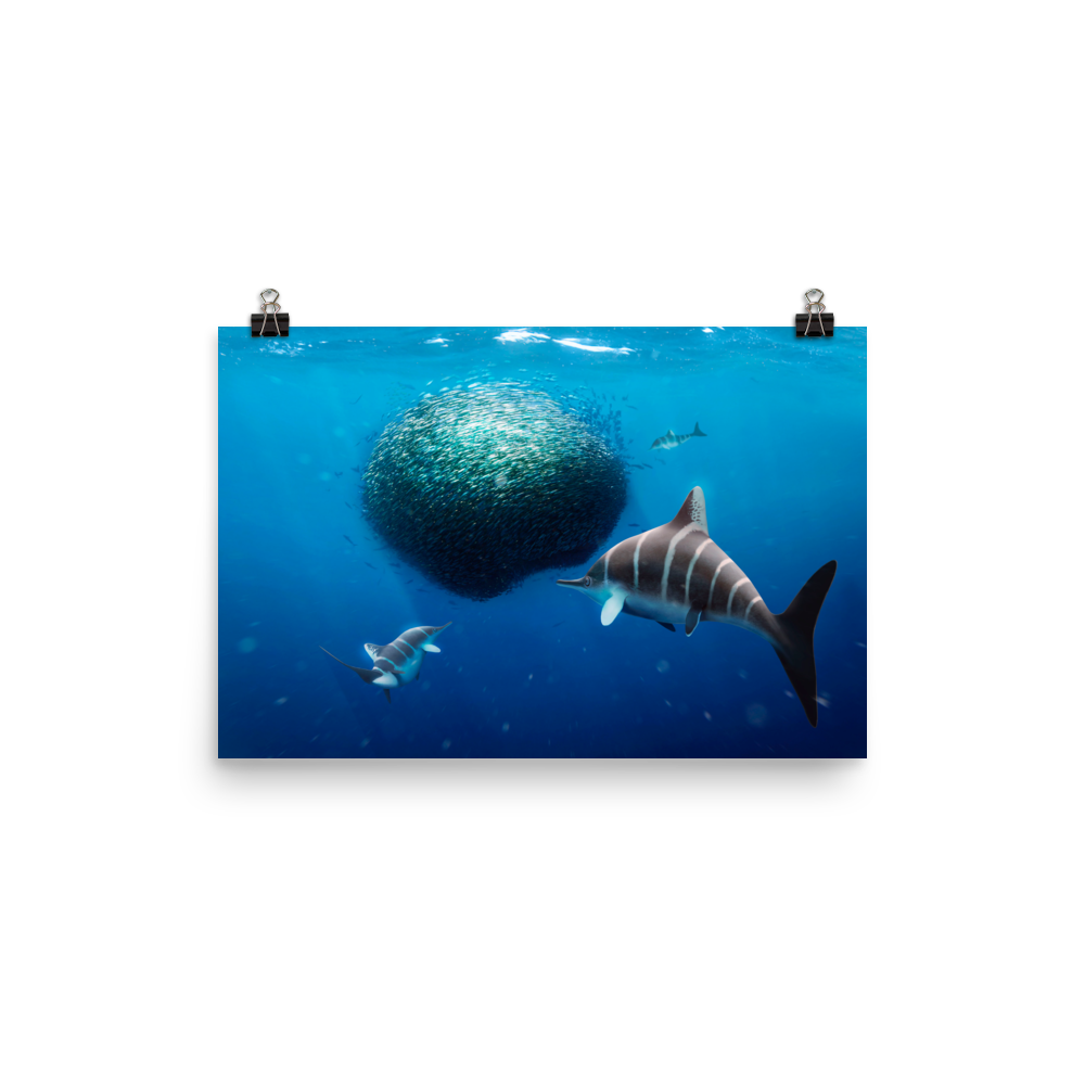 Ichthyosaurus larkini — Poster 12×18