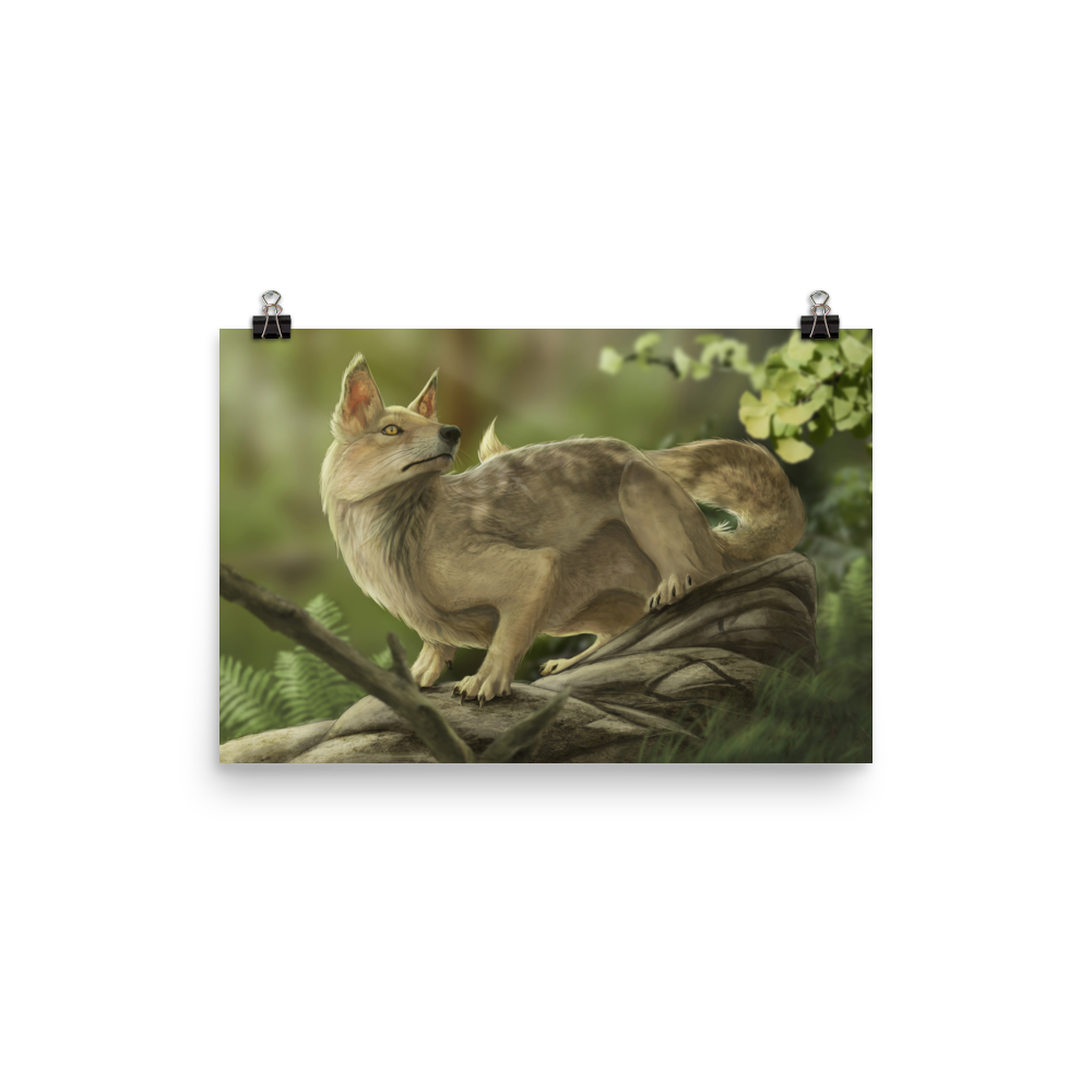Hesperocyon sp. poster