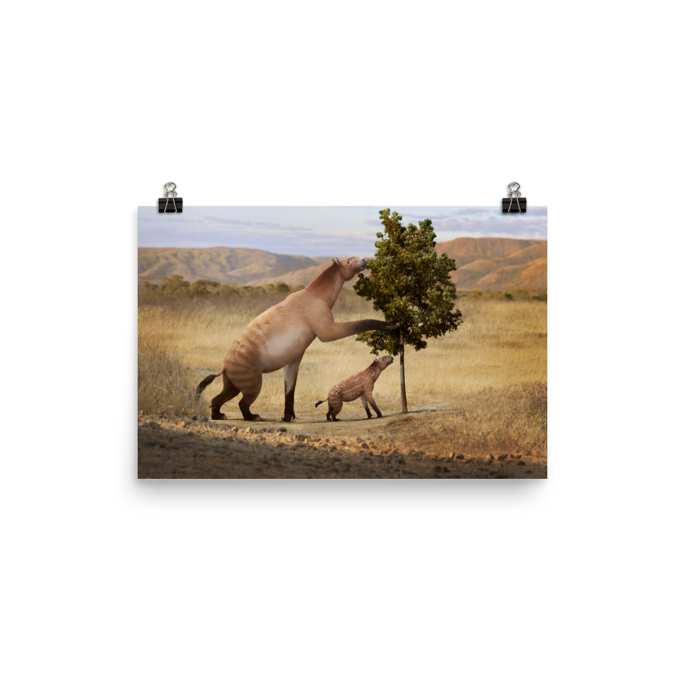 Chalicotherium sp. — Poster 12×18
