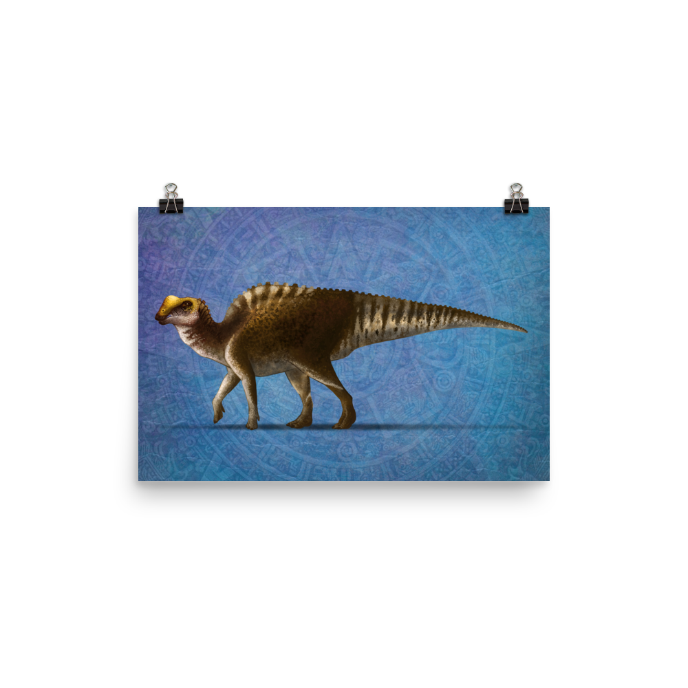 Latirhinus uitstlani — Poster 12×18