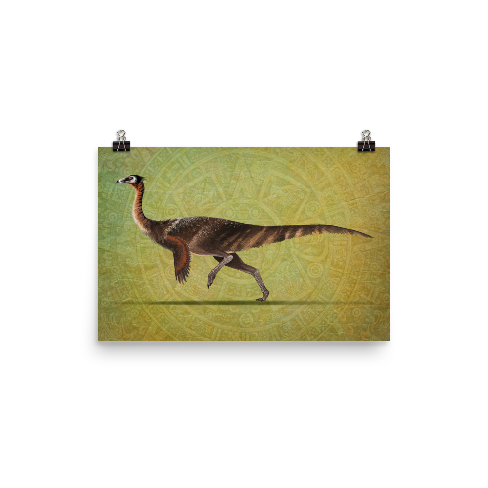 Saltillomimus rapidus — Poster 12×18