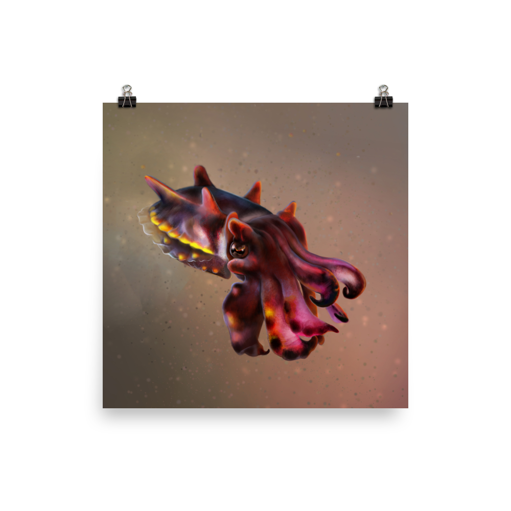 Metasepia pfefferi — Poster 18×18
