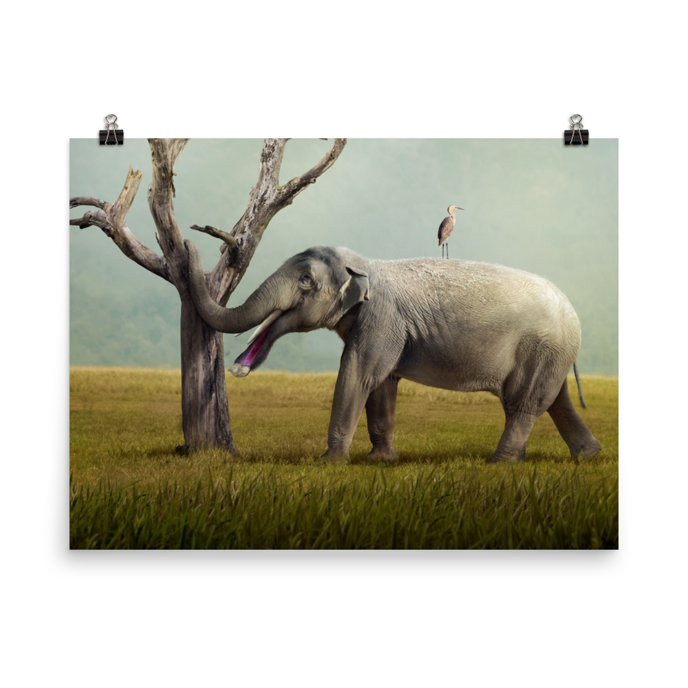 Platybelodon grangeri — Poster 18×24