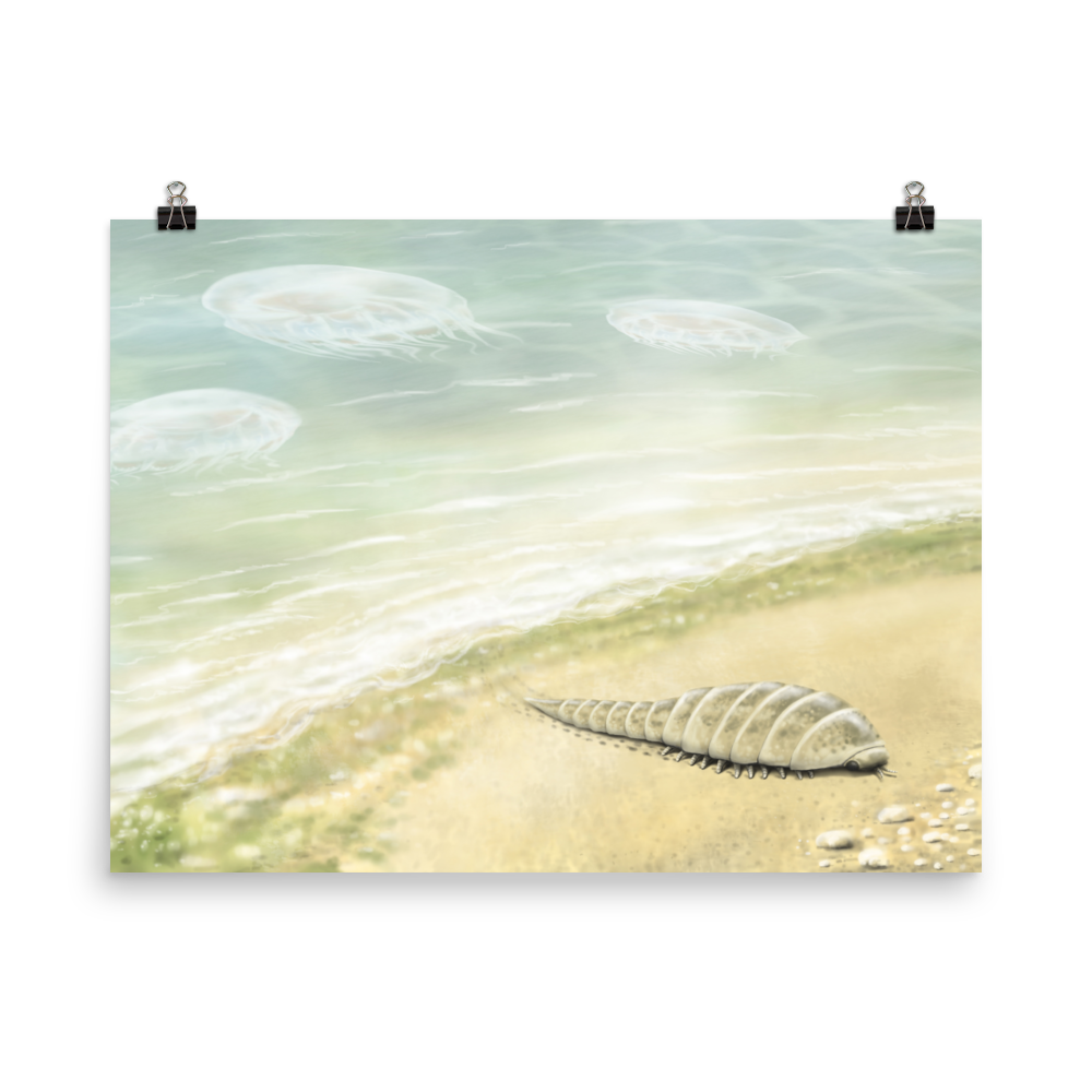 Euthycarcinoid, early land arthropod — Poster 18×24