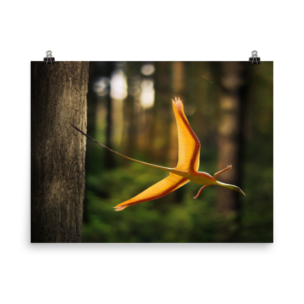 Sharovipteryx mirabilis — Poster 18×24