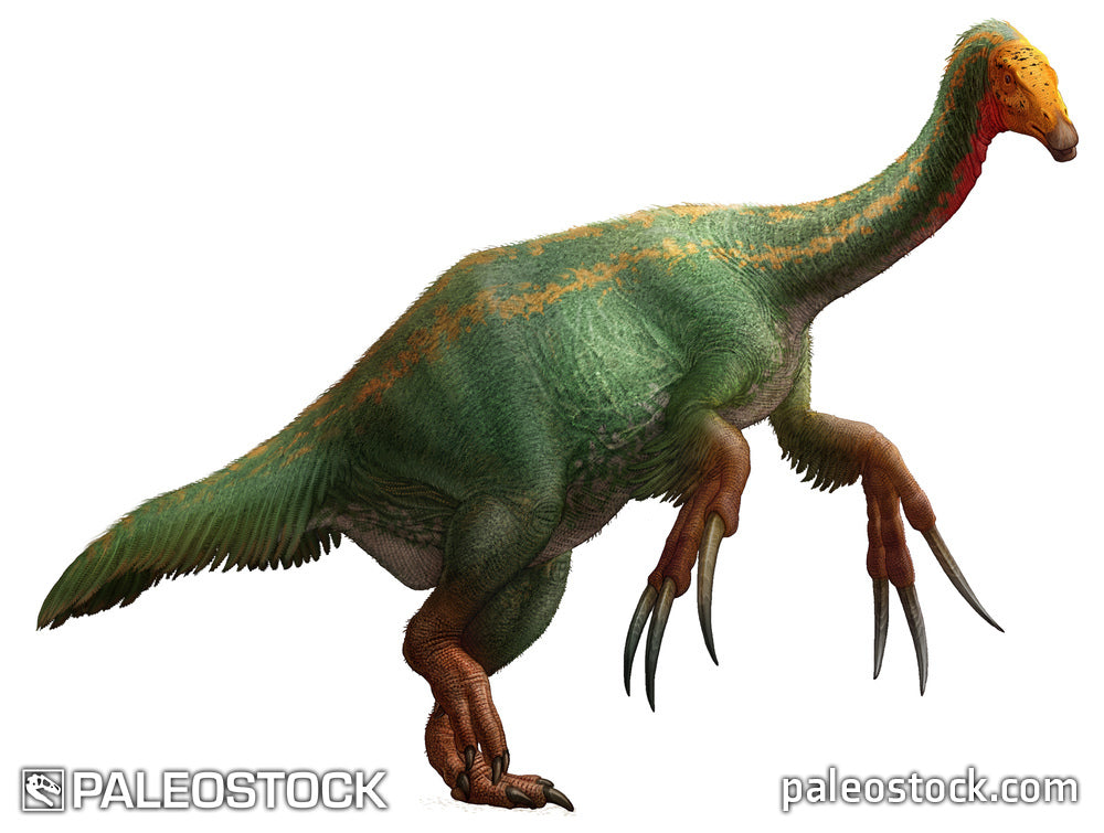 Therizinosaurus cheloniformis stock image