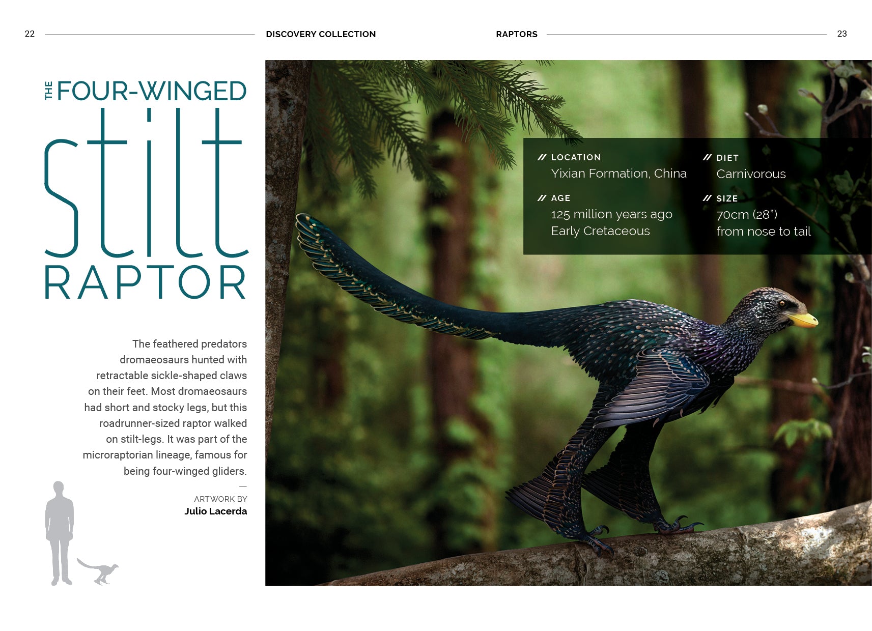 Discovery Collection: Raptors (digital zine)