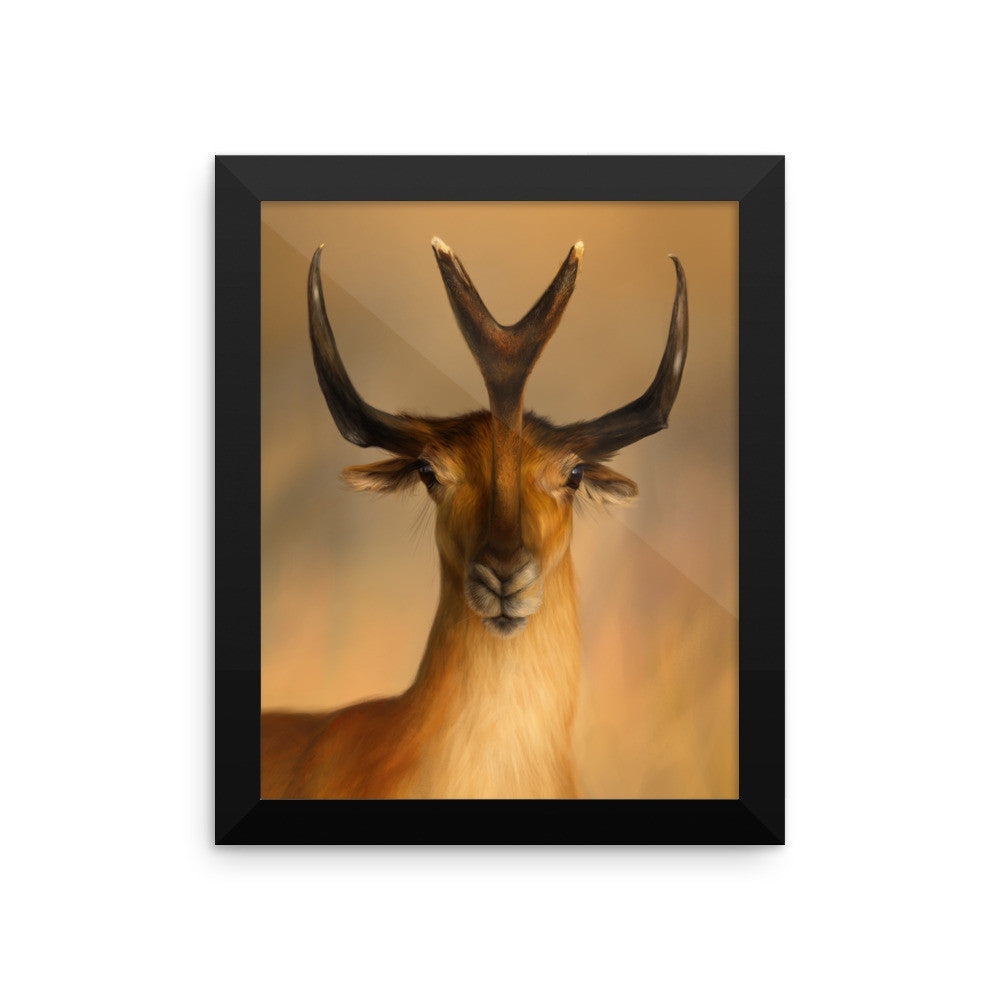 Synthetoceras framed print