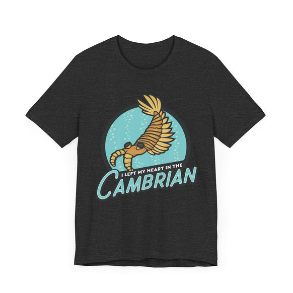 I Left My Heart in the Cambrian t-shirt