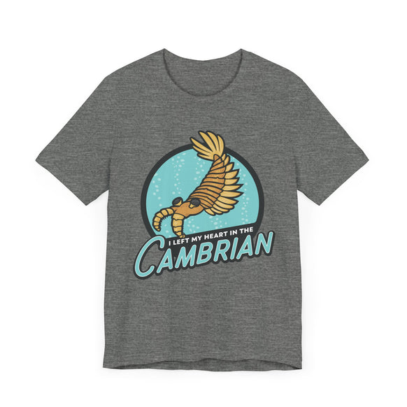 I Left My Heart in the Cambrian t-shirt