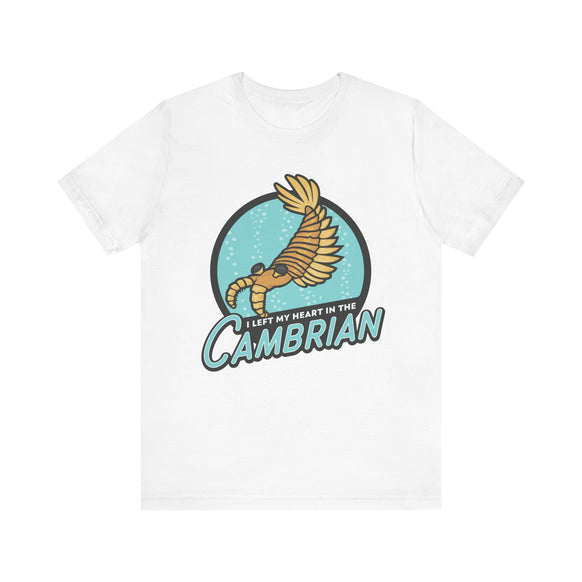 I Left My Heart in the Cambrian t-shirt