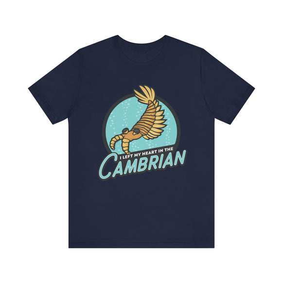 I Left My Heart in the Cambrian t-shirt