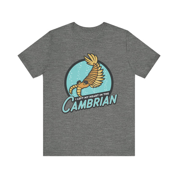 I Left My Heart in the Cambrian t-shirt